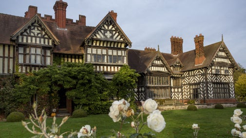 An exterior view of the black and white framed Wightwick Manor in the autumn sunshine with white roses in the foreground.